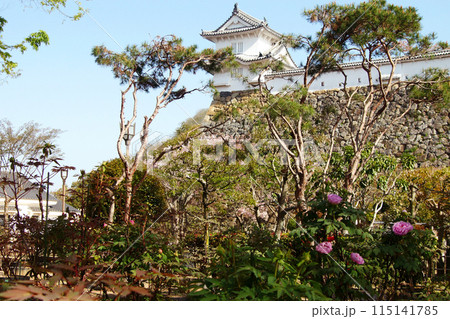 姫路城三の丸高台　千姫ぼたん園　春の景観 115141785