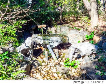 日本庭園のみずみずしい景色　木陰の筧 115142054