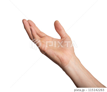 Hand arm isolated white take up hold person. Reach grab man gesture open out background human catch 115142263