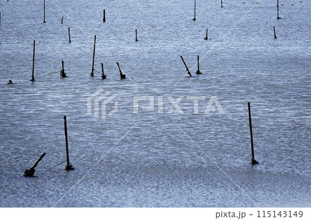 海岸沿いにある河口干潟 115143149