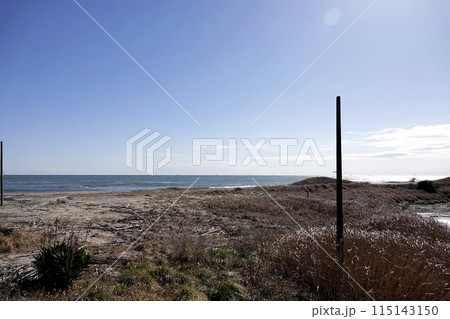 太平洋と海岸沿いにある河口干潟 115143150