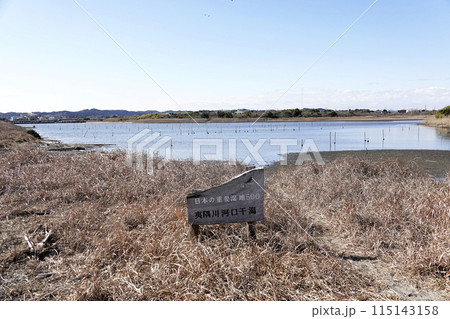 千葉県いすみ市夷隅川河口干全景景 115143158