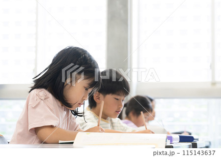明るい教室で勉強をする小学生たちの横顔　複数 115143637