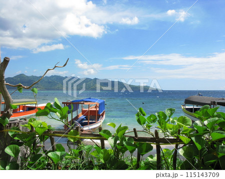 インドネシア　ギリ島の風景 115143709