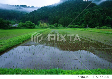 美山グランピング かやグラで過ごす京都の美山の里、日本の原風景を探す旅、幽玄な霧に包まれて、茅葺屋根 美山グランピング かやグラで過ごす京都の美山の里、日本の原風景を探す旅、幽玄な霧に包まれて、茅葺屋根 115144200
