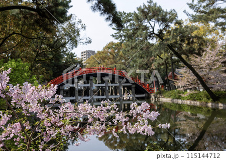 大阪/住吉大社の赤い反橋(2024年4月9日撮影) 大阪/住吉大社の赤い反橋(2024年4月9日撮影) 115144712