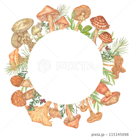 Watercolor round frame with mushrooms, berries, leaves. Botanical illustration. Design for painting dishes, postcards, covers, invitation frames, and quotes. 115145098
