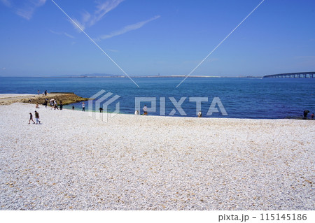 りんくう公園マーブルビーチ（大阪府泉佐野市） 115145186