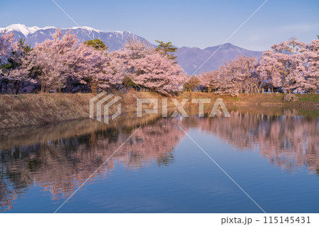 《長野県》桜満期の六道の堤・桜の名所 115145431