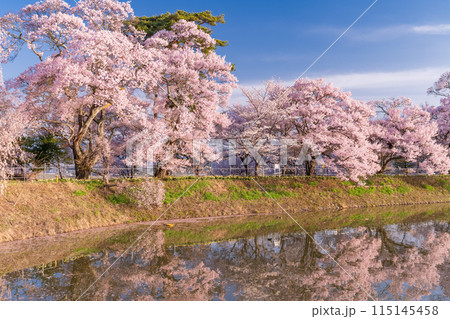 《長野県》桜満期の六道の堤・桜の名所 115145458