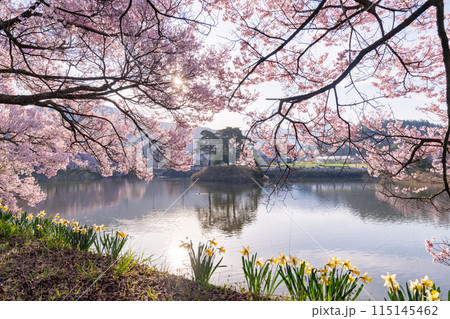 《長野県》桜満期の六道の堤・桜の名所 115145462