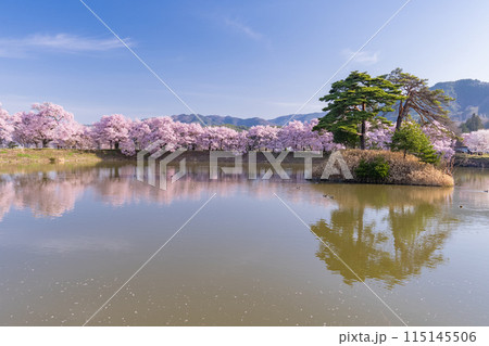 《長野県》桜満期の六道の堤・桜の名所 115145506