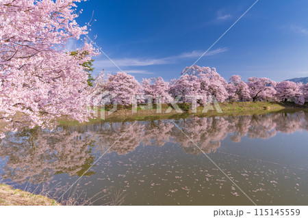 《長野県》桜満期の六道の堤・桜の名所 115145559