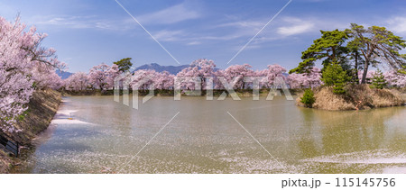 《長野県》桜満期の六道の堤・桜の名所 115145756