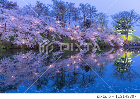 《新潟県》桜満開・春の高田城址公園の夜景 115145807