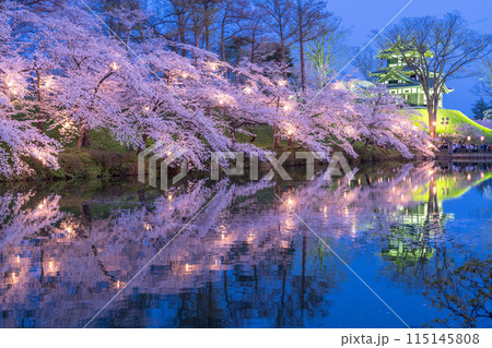 《新潟県》桜満開・春の高田城址公園の夜景 《新潟県》桜満開・春の高田城址公園の夜景 115145808