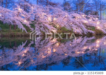《新潟県》桜満開・春の高田城址公園の夜景 115145809