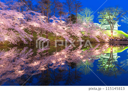 《新潟県》桜満開・春の高田城址公園の夜景 115145813