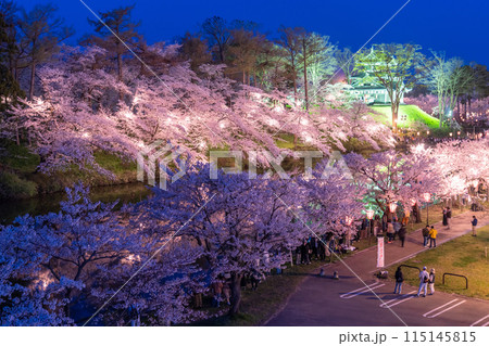 《新潟県》桜満開・春の高田城址公園の夜景 115145815
