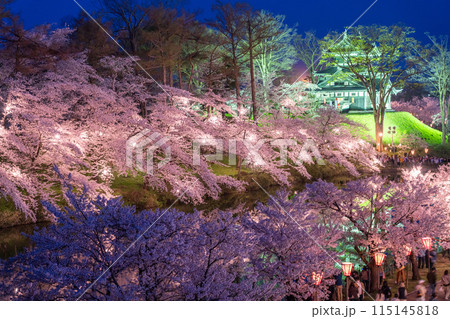 《新潟県》桜満開・春の高田城址公園の夜景 《新潟県》桜満開・春の高田城址公園の夜景 115145818