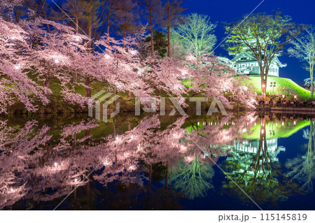 《新潟県》桜満開・春の高田城址公園の夜景 《新潟県》桜満開・春の高田城址公園の夜景 115145819