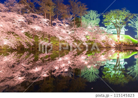 《新潟県》桜満開・春の高田城址公園の夜景 《新潟県》桜満開・春の高田城址公園の夜景 115145823