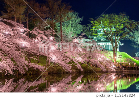 《新潟県》桜満開・春の高田城址公園の夜景 《新潟県》桜満開・春の高田城址公園の夜景 115145824