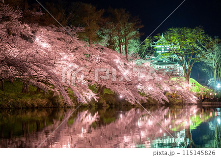 《新潟県》桜満開・春の高田城址公園の夜景 《新潟県》桜満開・春の高田城址公園の夜景 115145826