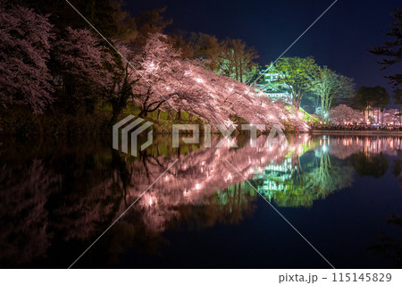 《新潟県》桜満開・春の高田城址公園の夜景 《新潟県》桜満開・春の高田城址公園の夜景 115145829