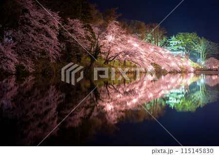 《新潟県》桜満開・春の高田城址公園の夜景 《新潟県》桜満開・春の高田城址公園の夜景 115145830