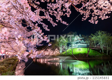 《新潟県》桜満開・春の高田城址公園の夜景 115145831