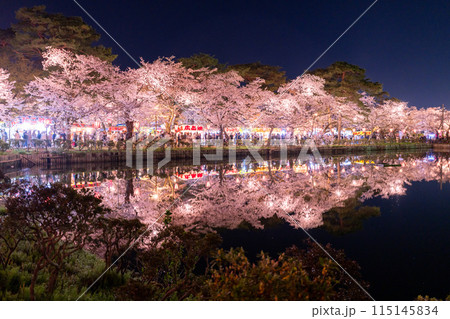 《新潟県》桜満開・春の高田城址公園の夜景 115145834