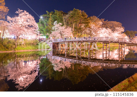 《新潟県》桜満開・春の高田城址公園の夜景 《新潟県》桜満開・春の高田城址公園の夜景 115145836