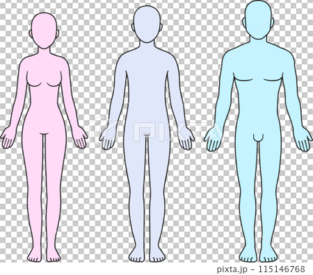 Male, female and unisex body silhouette 115146768