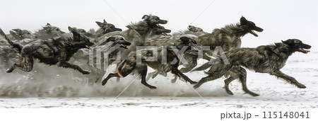 疾走する黒い犬の群れ 疾走する黒い犬の群れ 115148041