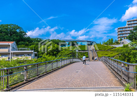 日本の横浜都市景観 夢逢歩道橋から横浜国際プールなどを望む 日本の横浜都市景観 夢逢歩道橋から横浜国際プールなどを望む 115148331