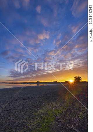 Hortobagy National Park, UNESCO World Heritage Site, Puszta is one of largest meadow and steppe ecosystems in Europe, Hungary 115148542
