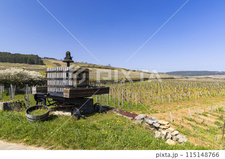 Old wine press, Cote de Nuits, Burgundy, France 115148766