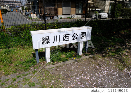 東京都　国立市　春　緑川西公園 115149038
