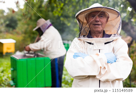 Senior apiarist in protective suit standing in bee yard 115149589