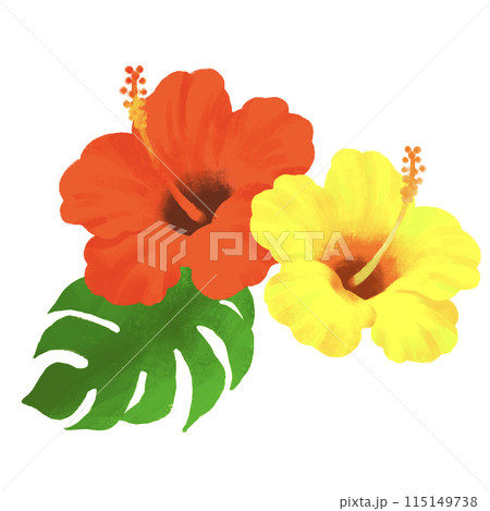 ハイビスカスのイラスト　赤と黄色 115149738