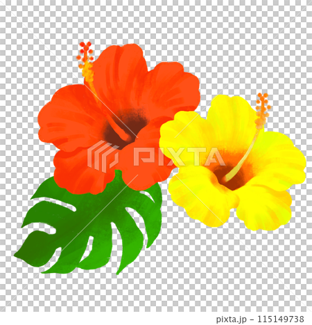ハイビスカスのイラスト　赤と黄色 115149738