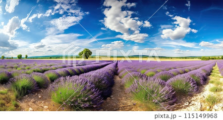 Stunning landscape with lavender field on sunny day. Generative AI 115149968