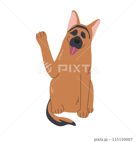 Cute german sheepdog greeting high five command Cute german sheepdog greeting high five command 115150007