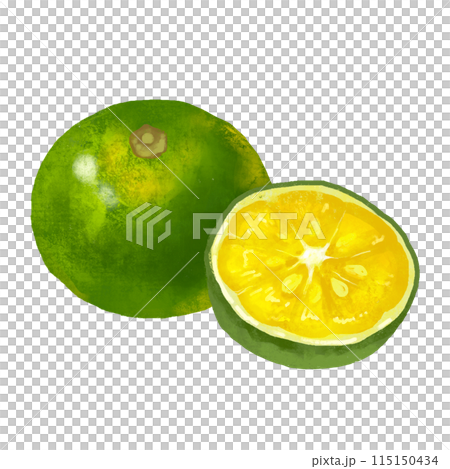 沖縄　シークヮーサー 115150434