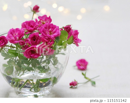 ピンクのミニ薔薇 115151142