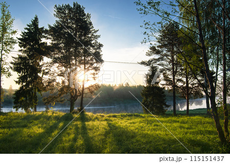 Sunlit forest meadow near lake at sunset is serene and peaceful, offering relaxing atmosphere Sunlit forest meadow near lake at sunset is serene and peaceful, offering relaxing atmosphere 115151437