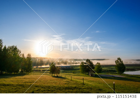 Serene Sunrise Over Misty Green Landscape with Clear Sky, Pond, and Tranquil Environment 115151438