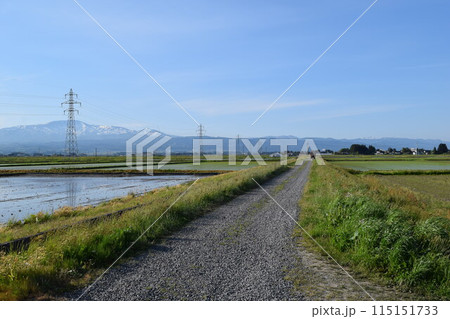 農道と田園風景 山形県庄内 農道と田園風景 山形県庄内 115151733