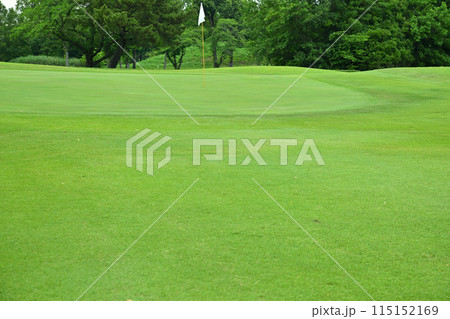 緑濃い初夏のゴルフ場　人無しグリーン　　　 115152169